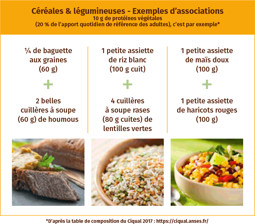 Céréales et protéines végétales