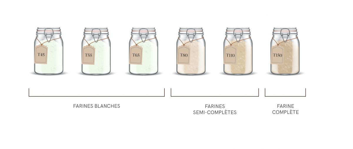 Typologies de farines