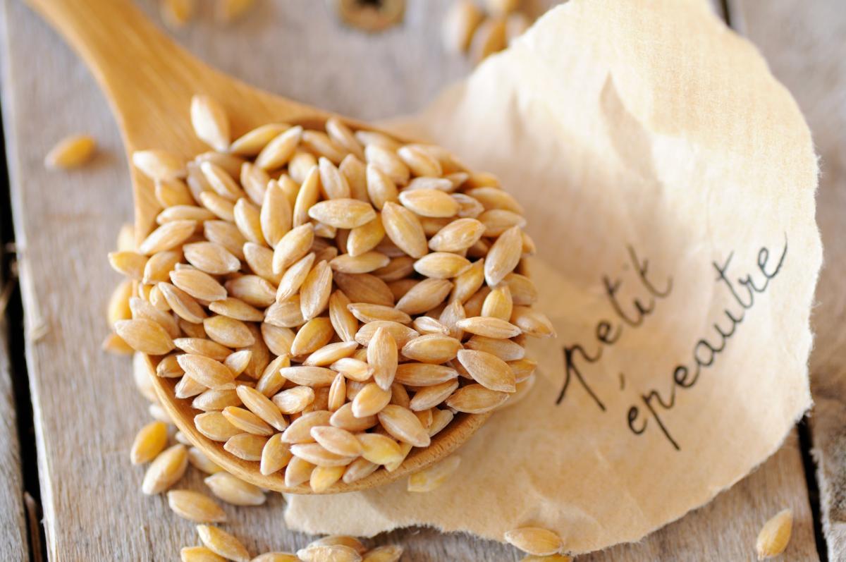 Grain de petit Ã©peautre - Fotolia septembre 2011