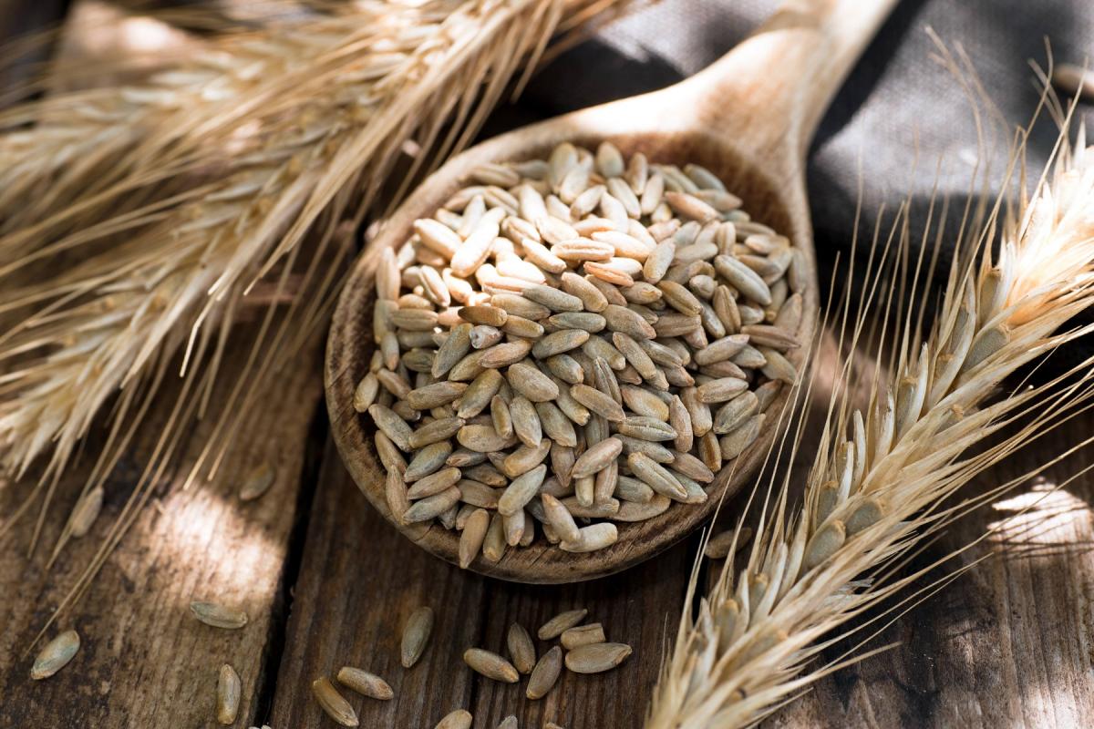 Grains de seigle - Adobe stock fÃ©vrier 2021