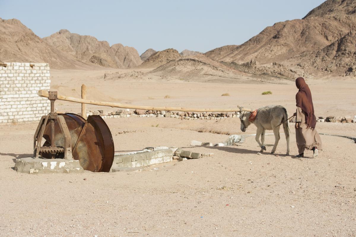 Irrigation dans le monde - systÃ¨me de puits Ã  deux roues en Ã©gypte - Adobe stock Janvier 2021