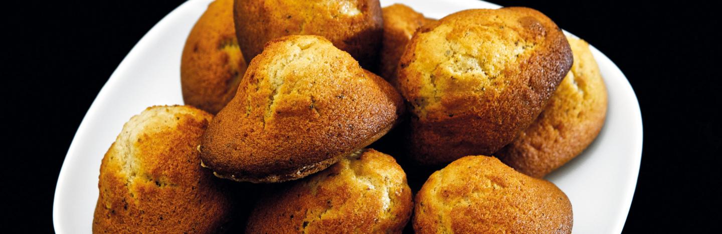 Une dizaine de madeleines dans une assiette