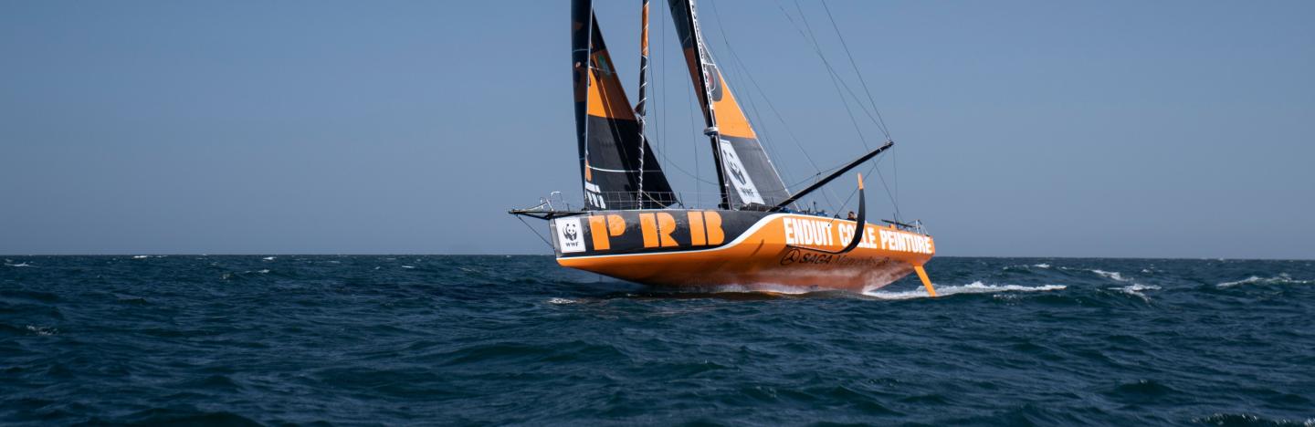 Biscuit de mer, voilier Vendée Globe