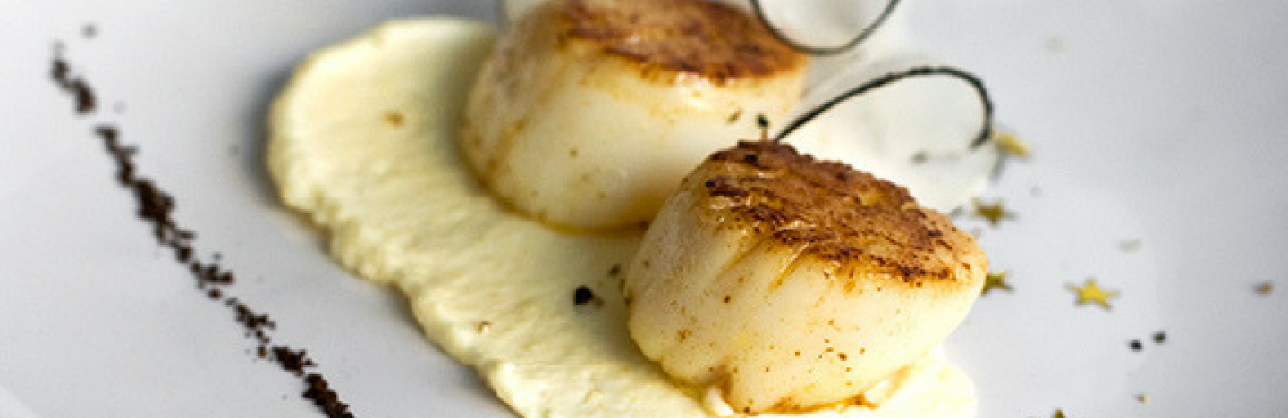 Polenta coquilles Saint Jacques