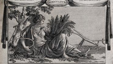 Gravure de W. Bromley datée de 1789 qui représente une allégorie de l'agriculture : Cérès couchée au milieu d'outils agricoles avec une gerbe de blé et une faux.