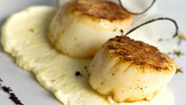 Polenta coquilles Saint Jacques