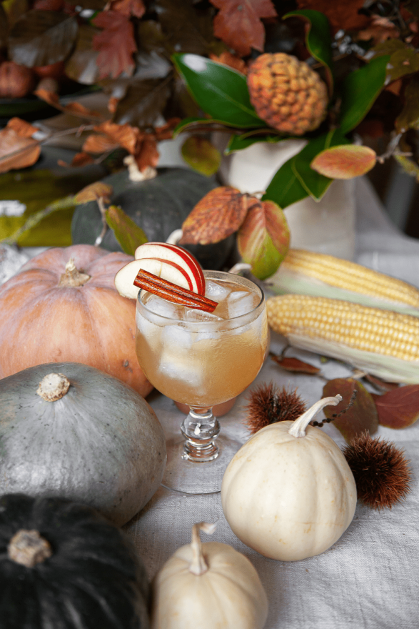 Bourbon Apple Cider Cocktail