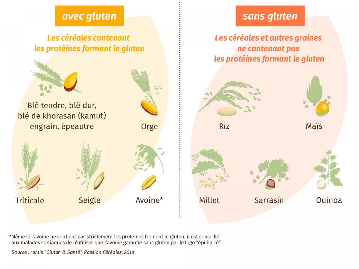 céréales avec ou sans gluten